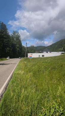 Über 10.000 m² Gewerbefläche im Nordschwarzwald unter Bodenwert erwerben, 72275 Alpirsbach, Grundstück