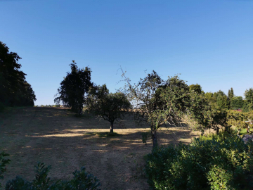 Bild - 3-Zimmer-Wohnung mit eigenem Zugang und Terrasse