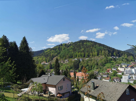 Titelbild - 2-Zimmer-ETW in absoluter Höhenlage – mit Panoramafernblick über den Kurort Bad Wildbad