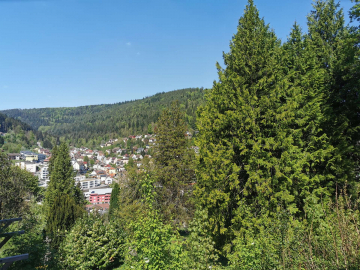 Bild - 2-Zimmer-ETW in absoluter Höhenlage – mit Panoramafernblick über den Kurort Bad Wildbad