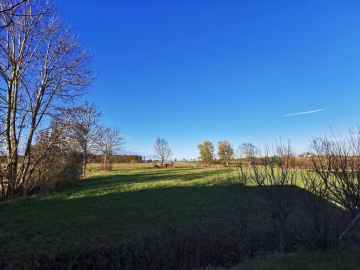 Bild - Wohnen wo Ruhe, Natur und Familienglück aufeinandertreffen