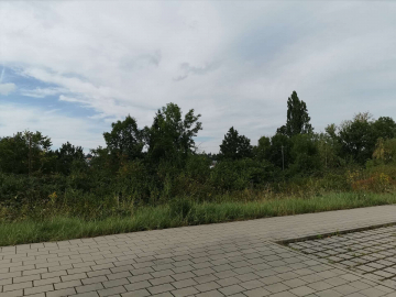 Bild - Perfektes Baugrundstück für Ihr neues Eigenheim in Pfhm- Rodrücken “Lange Gewann”