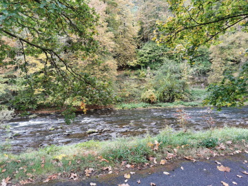 Bild - Helle 3-Zimmer-Wohnung mit 2 Balkonen – frisch renoviert!