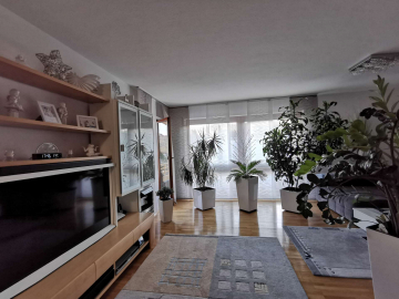 Bild - Großzügige und attraktive 4-Zi.-Wohnung in Pfhm-Rodgebiet